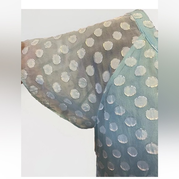 Soft Surroundings Top Blue Silk S Swiss Dot Pearl Buttons Dainty Feminine Shirt - Picture 5 of 10